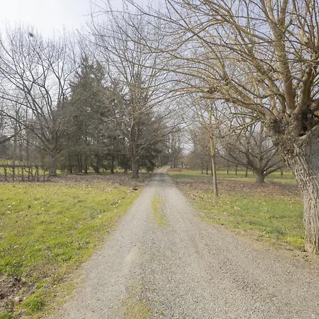 Tenuta With Pool In Monferrato - Oleandri *